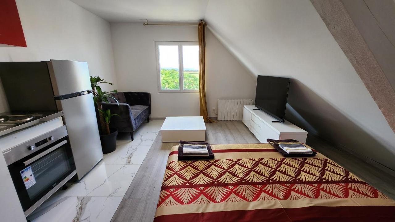 Appartement Vue Panoramique Sur La Plaine D'Alsace Andolsheim Luaran gambar